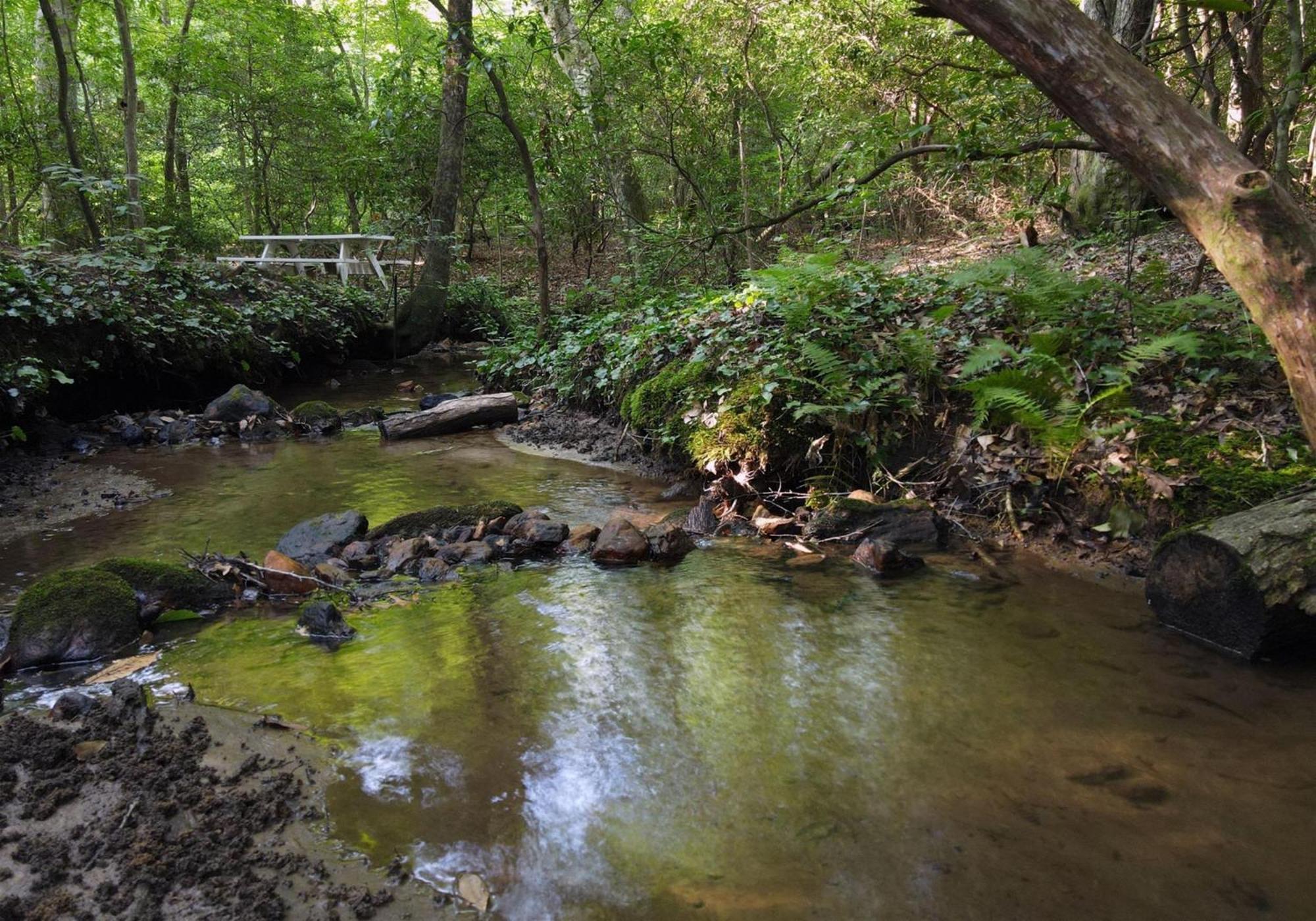 Вілла Laurel Creek- Блу-Ридж Екстер'єр фото